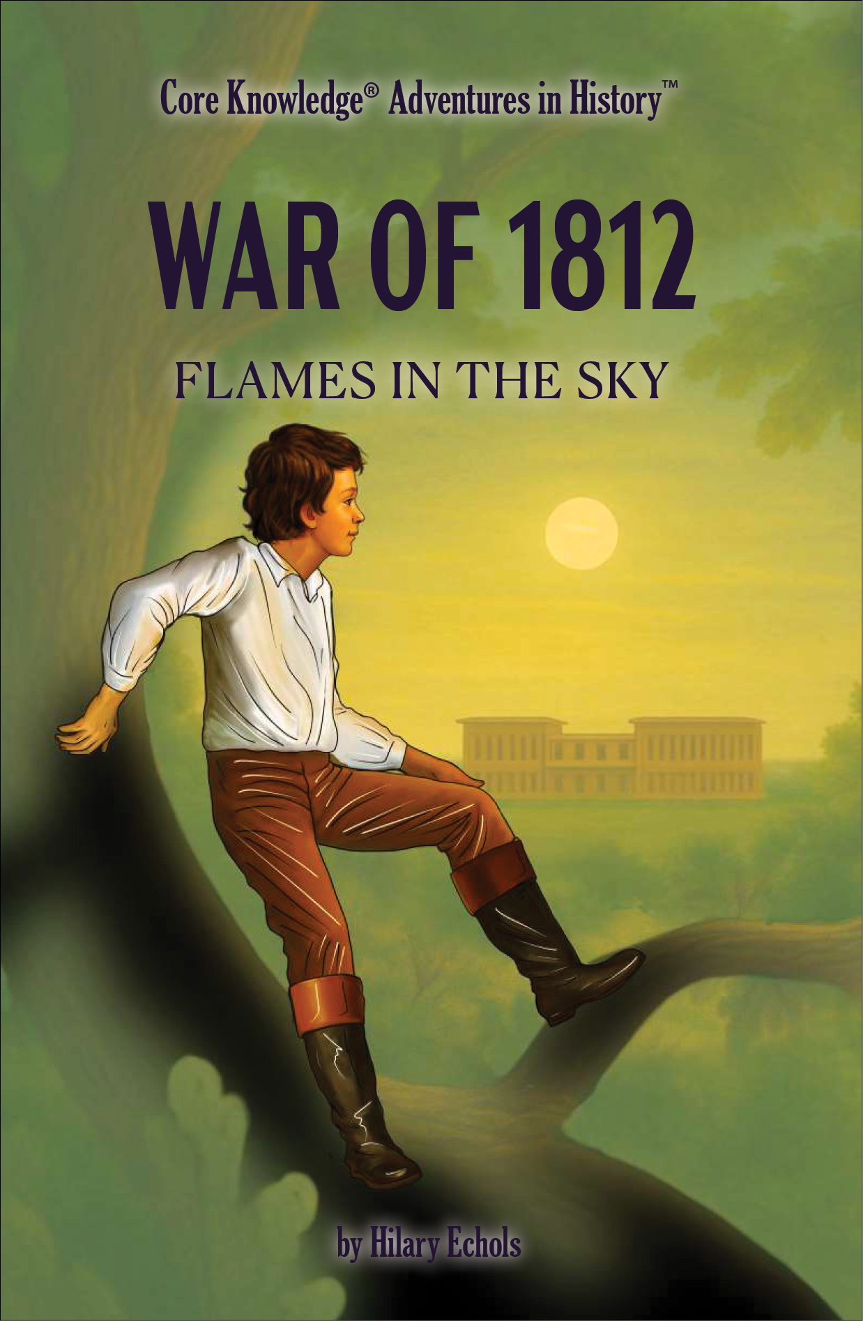 War of 1812: Flames in the Sky book cover